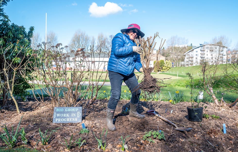 Langside Sports Club biodiversity group